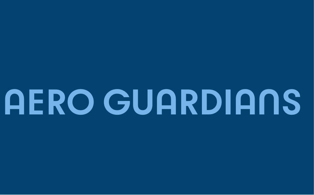 BOAC Flight 777 - Aero Guardians Avatar