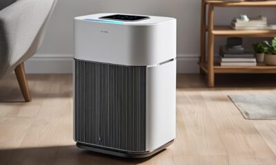 Air Purifier for Tiny Home