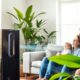 germguardian air purifiers guide