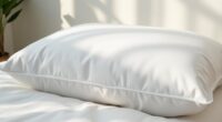top allergy pillow protectors