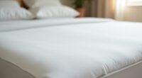 top dust mite mattress covers