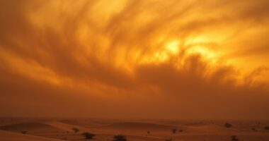 prepare filters for dust