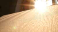 sunlight s effect on hepa