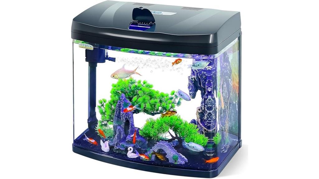 13 gallon glass aquarium kit