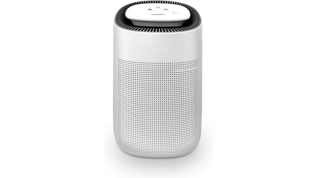 air purifier and dehumidifier