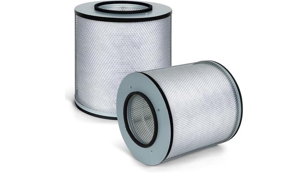 austin air filter replacement