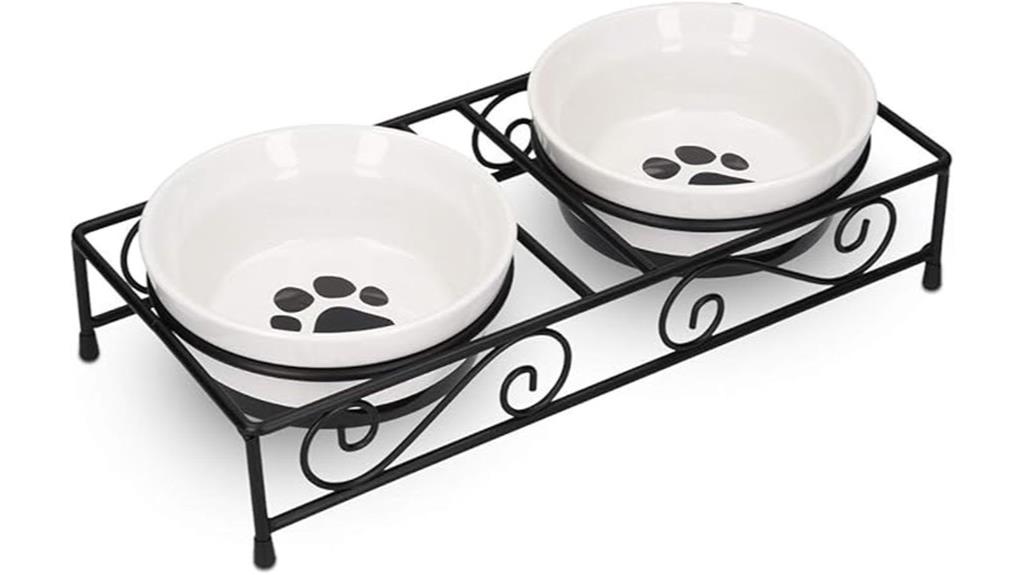 ceramic pet bowl set