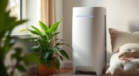 chemical sensitivity air purifiers
