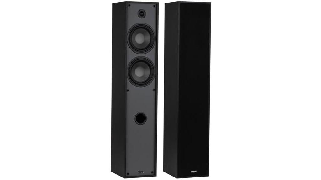 dayton t65 floor speakers