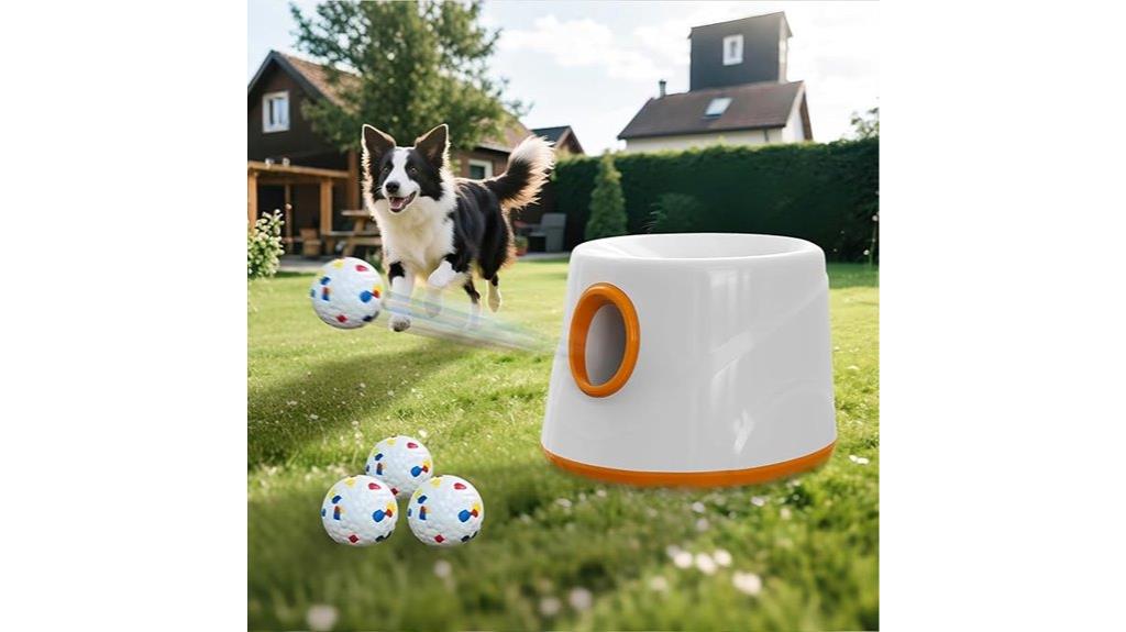 dog automatic ball launcher