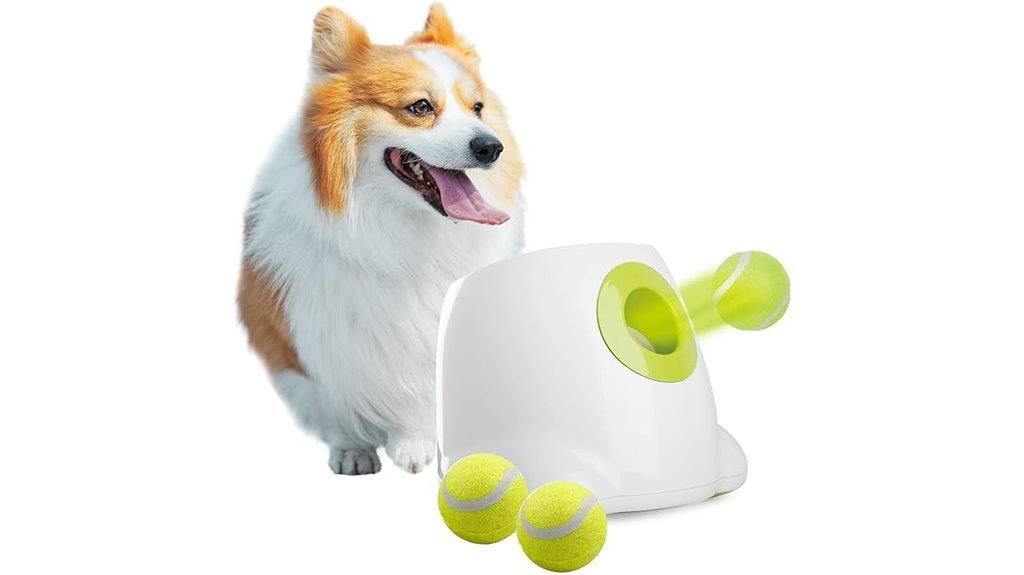 dog ball launcher set