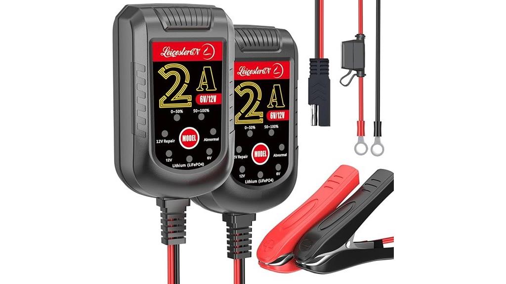 dual 6v 12v battery chargers