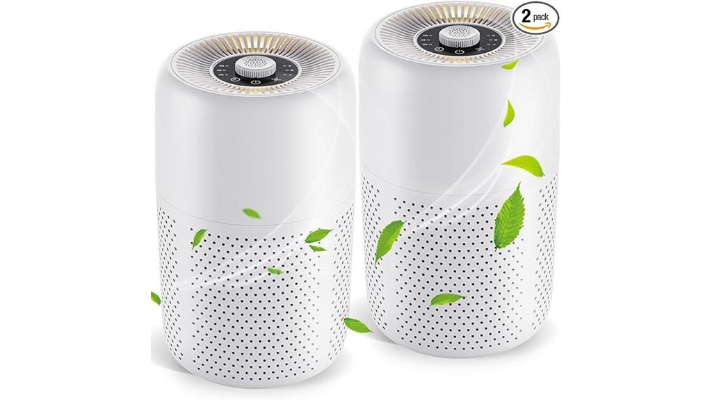 dual air purifiers set