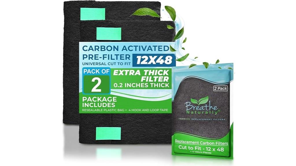 dual carbon air filters