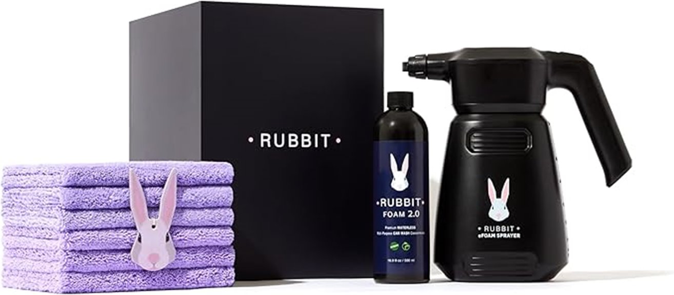 electric car cleaning kit