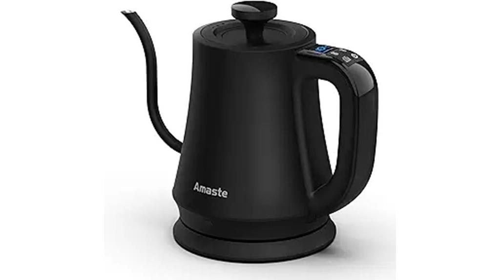 electric kettle with temperature control