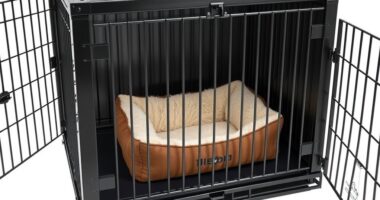 heavy duty crate options