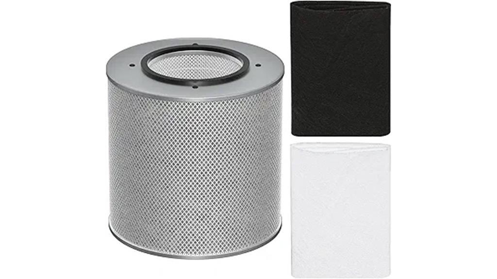 hepa filter for austin