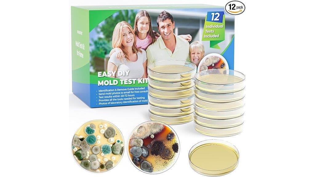 home mold detection kit