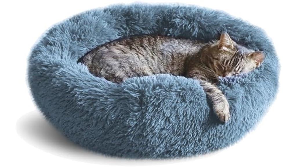 indoor cat bed accessory