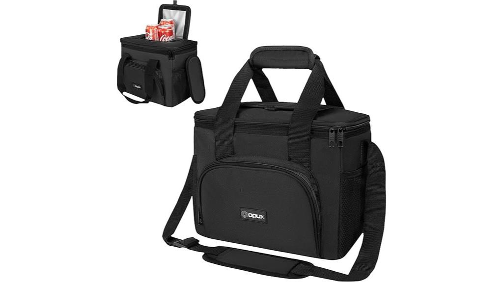 insulated travel lunch bag