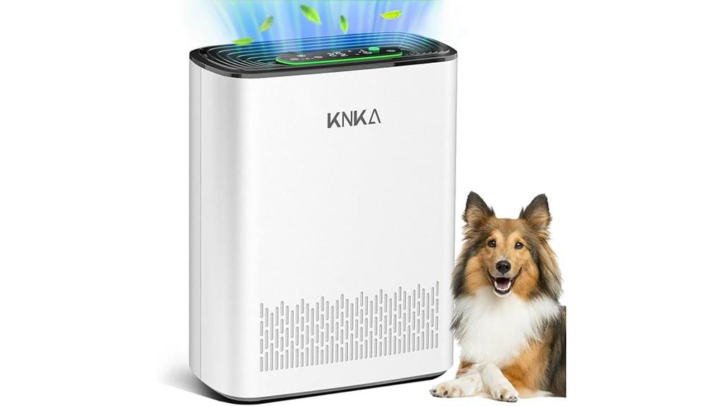 large room air purifier