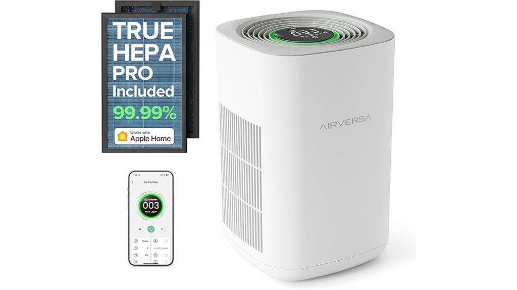 large room air purifier