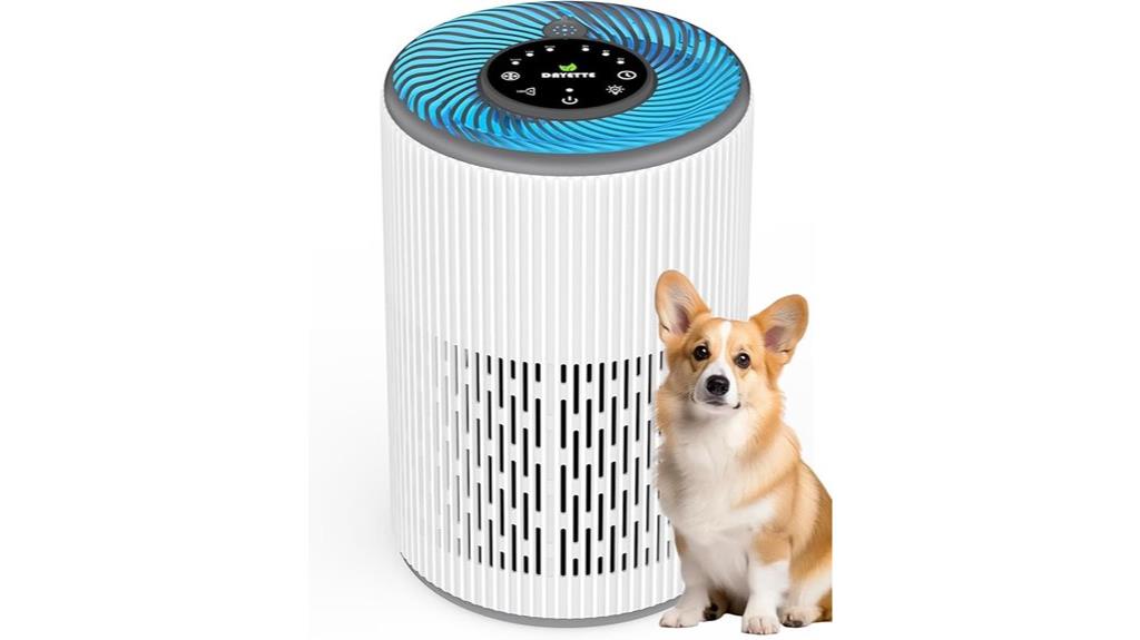large room air purifier