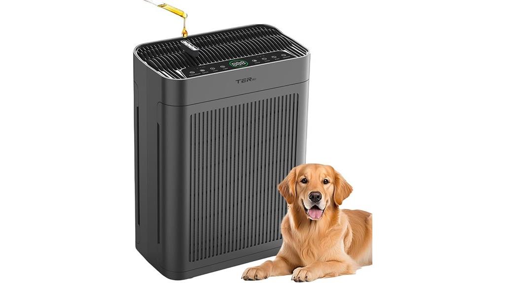 large room air purifier