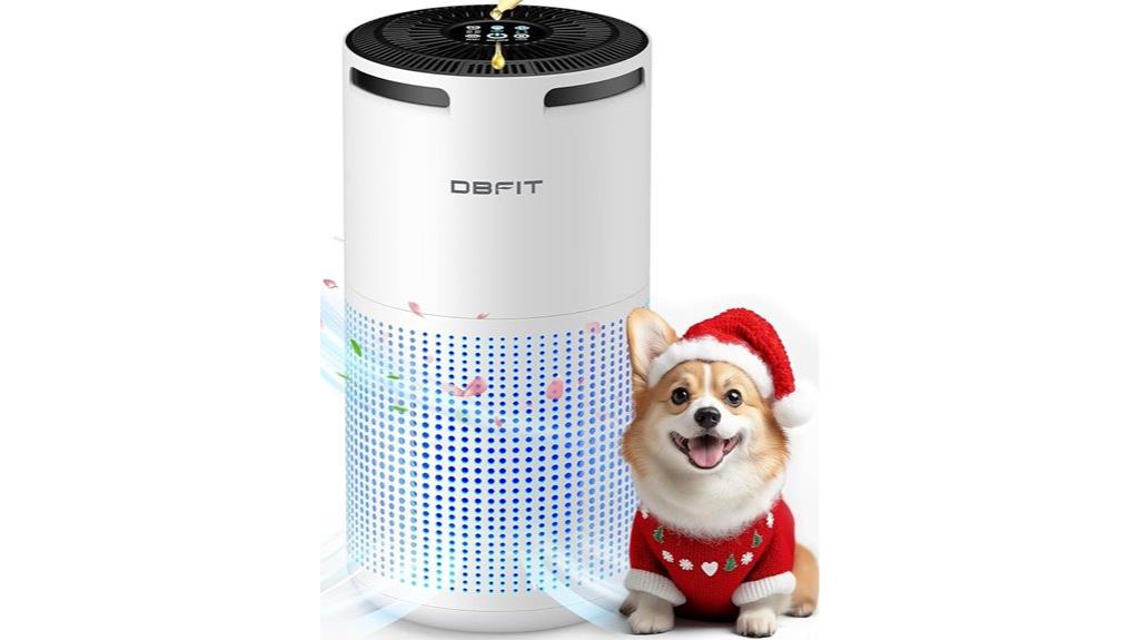 large room hepa purifier