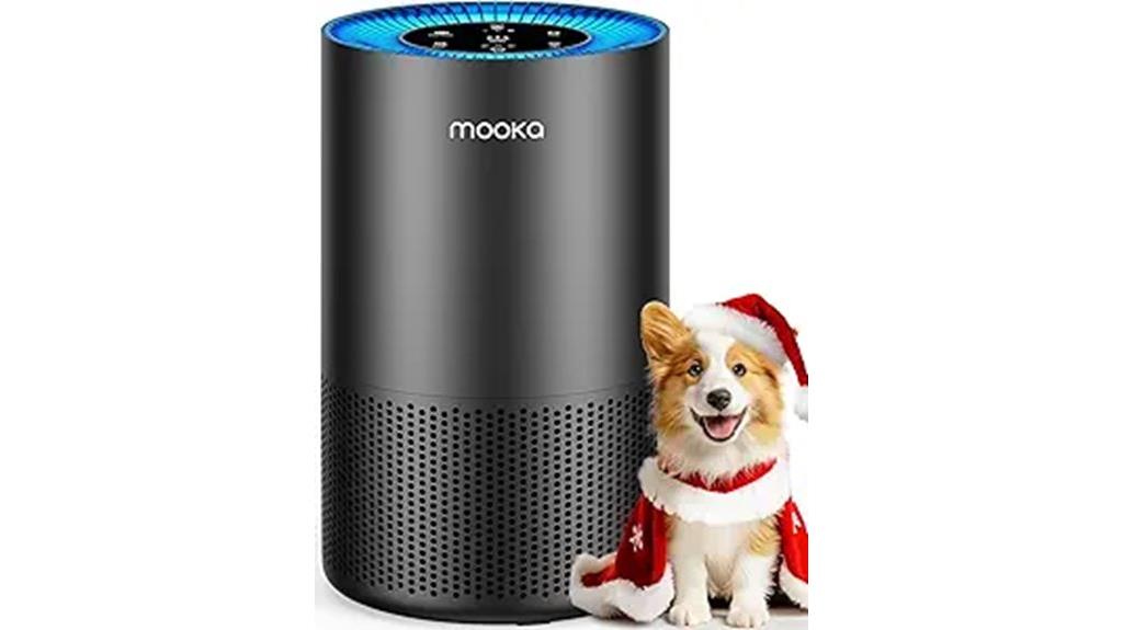 large room hepa purifier