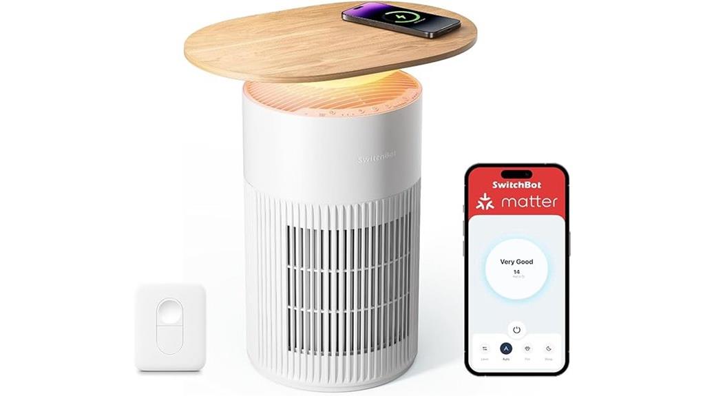 multi function air purifier