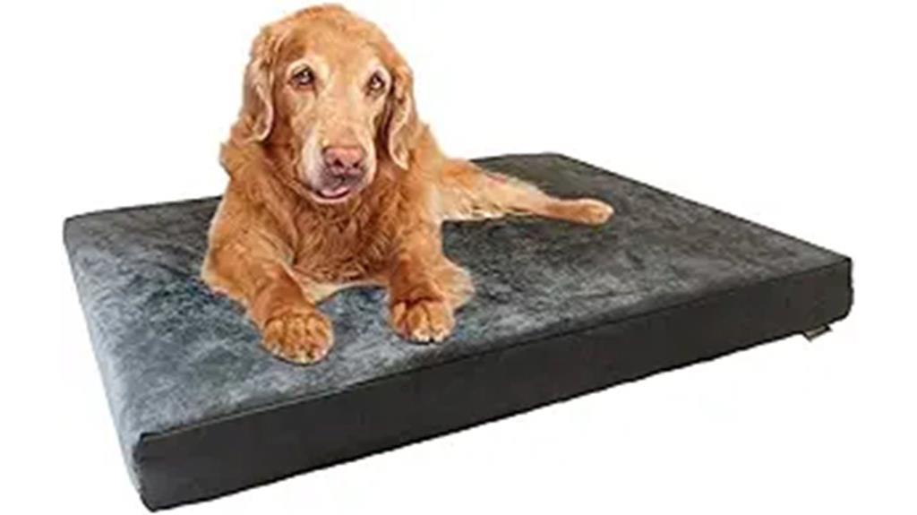 orthopedic memory foam bed