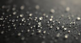 particles transmit viruses