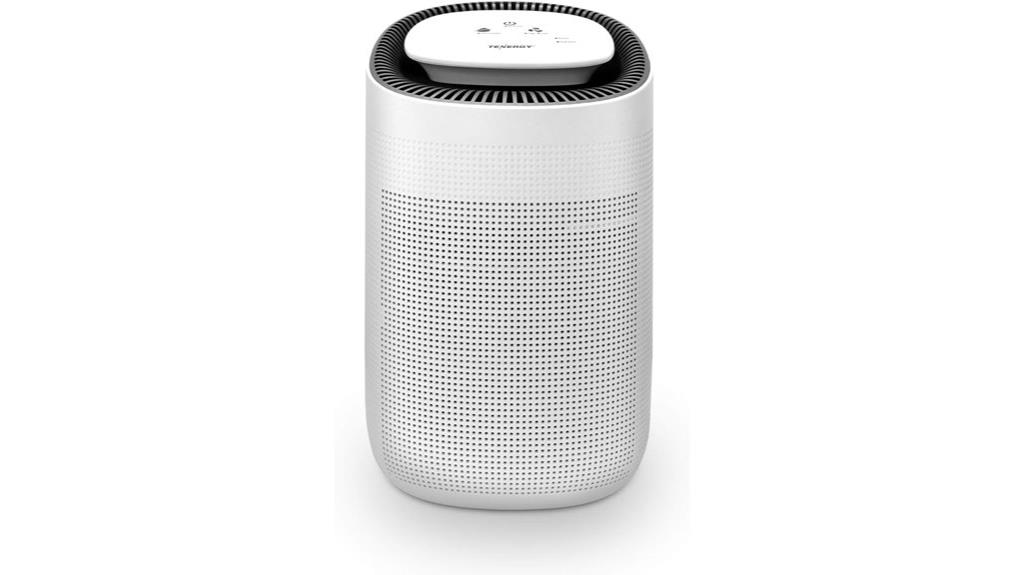 portable dehumidifier with hepa