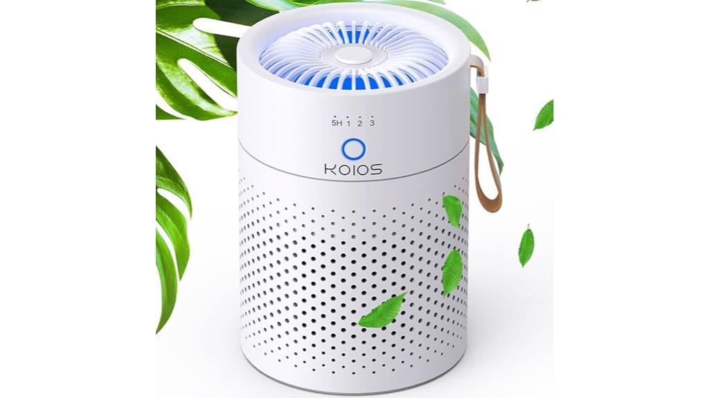 portable hepa air purifier