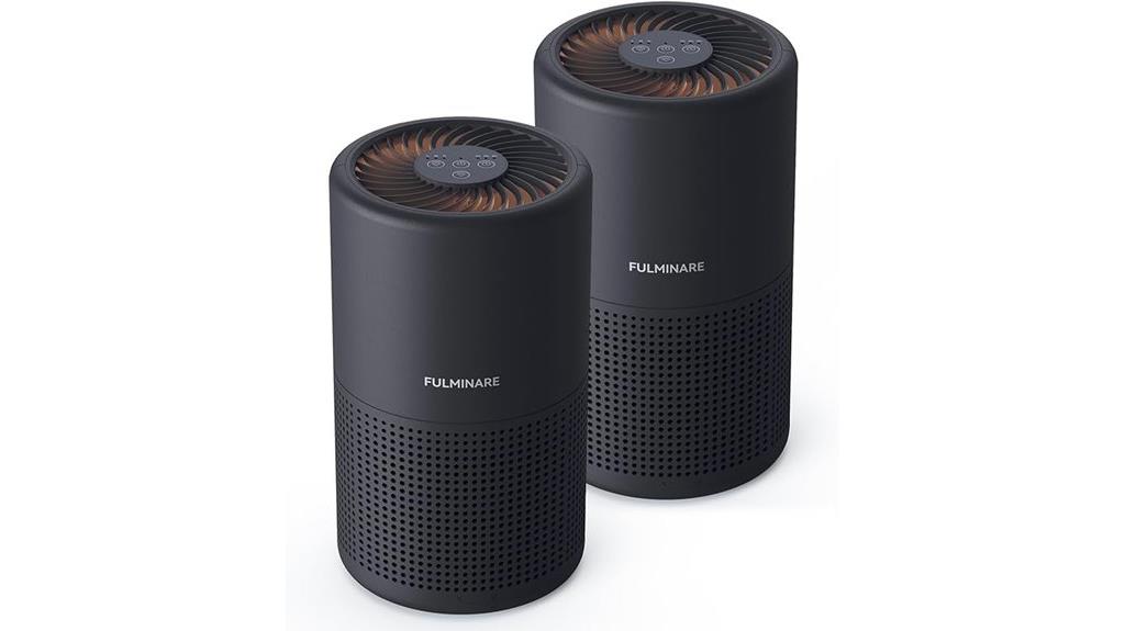 quiet twin hepa purifiers