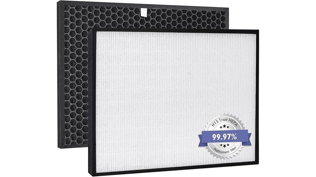 rabbitair biogs filter replacement