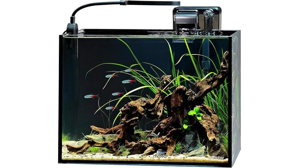 small aquatic plant ecosystem