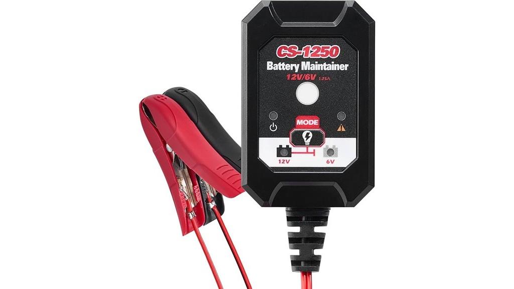 smart auto battery charger