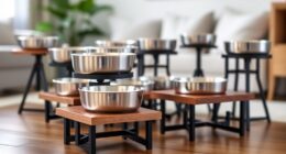 top adjustable pet bowls