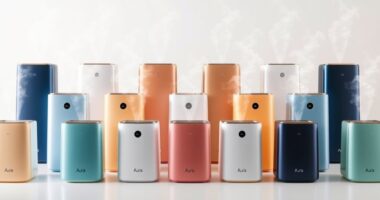 top aura air purifiers