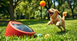 top automatic dog toy launchers