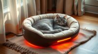 top low voltage cat bed picks