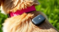 top lte pet trackers