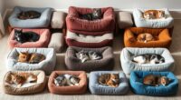 top orthopedic cat beds
