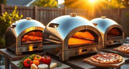 top outdoor pizza oven options