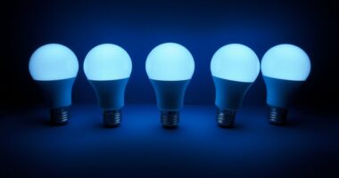 top uv c bulb choices