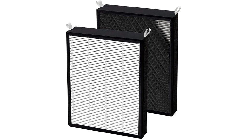 two hepa carbon filters