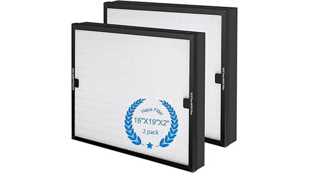 two hepa filters pack